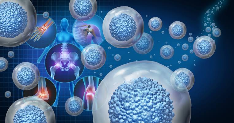 Regenerative medicine - mesenchymal stem cells and exosome biology