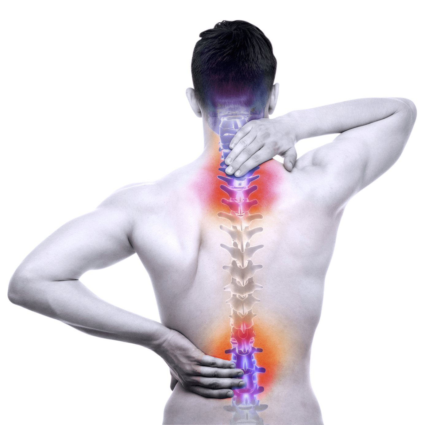 Cervical and lumbar spine pain anatomical illustration